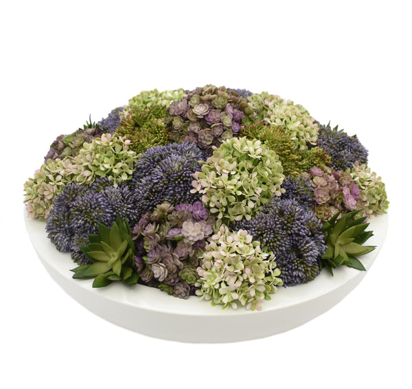 Hydrangea Sedum & Succulent Arrangement