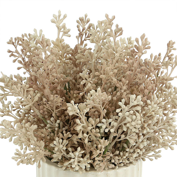 Seeded Eucalyptus in White Pot
