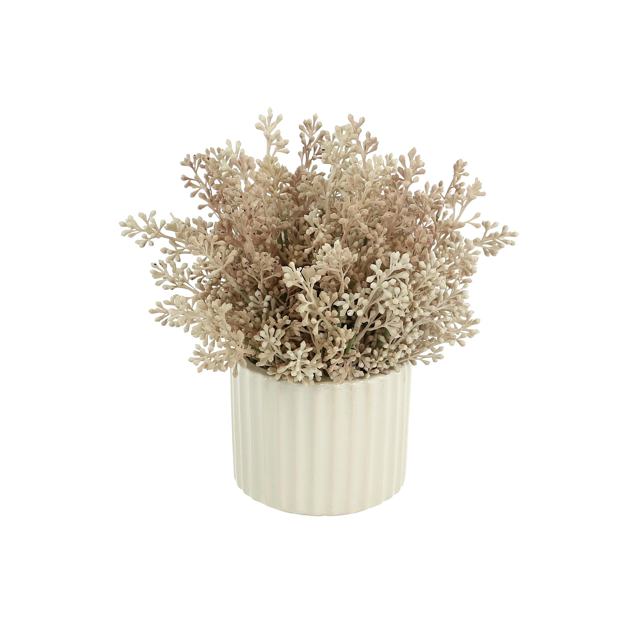 Seeded Eucalyptus in White Pot