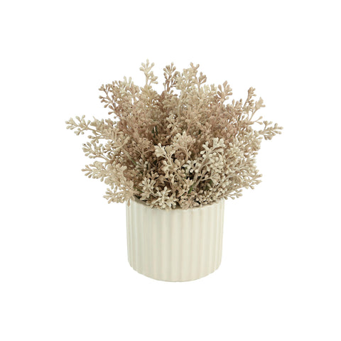Seeded Eucalyptus in White Pot