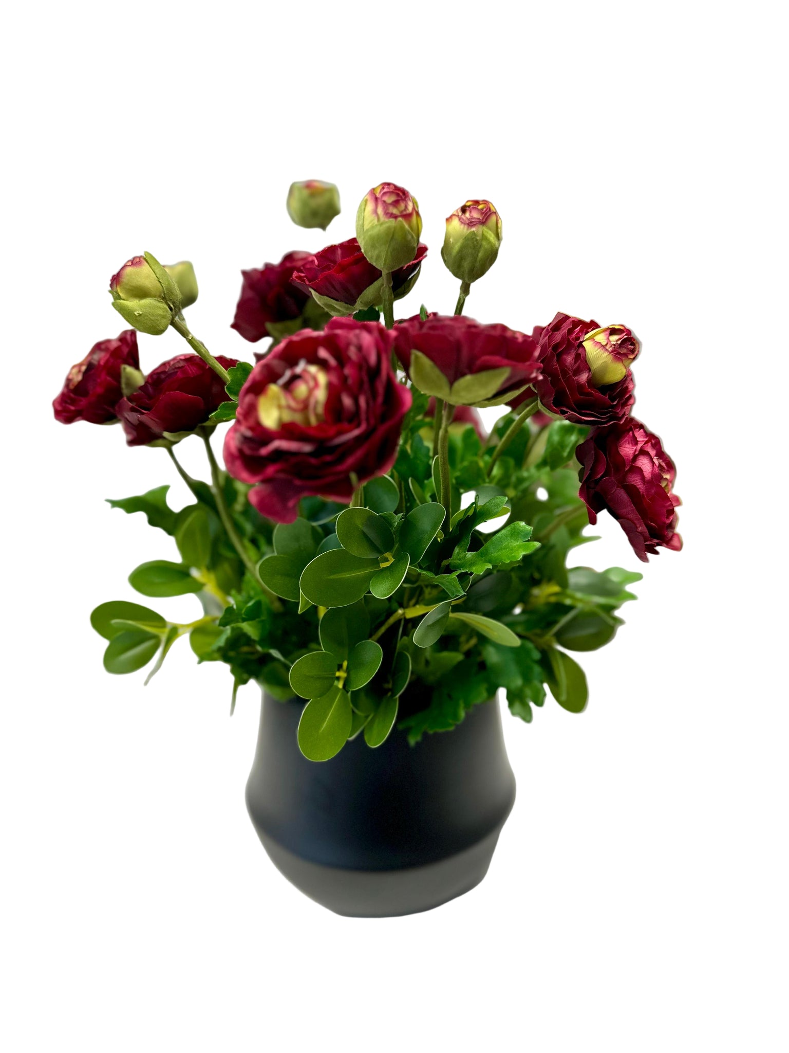 Burgundy Ranunculus Black Vase